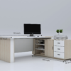 CEO Table-12 | ECCEOT-017